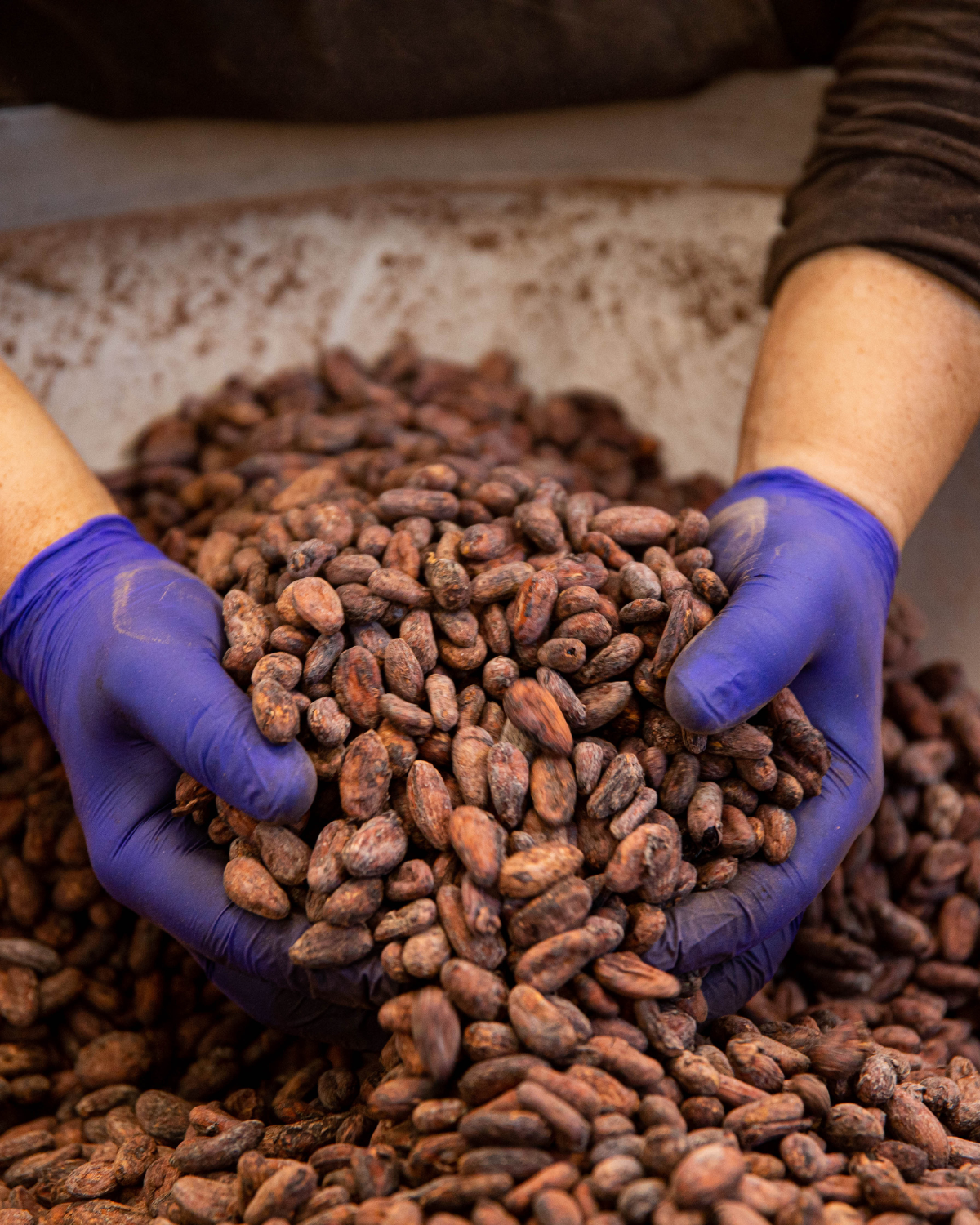 Biglietto di ingresso - Visita Fabbrica + Laboratorio cioccolato