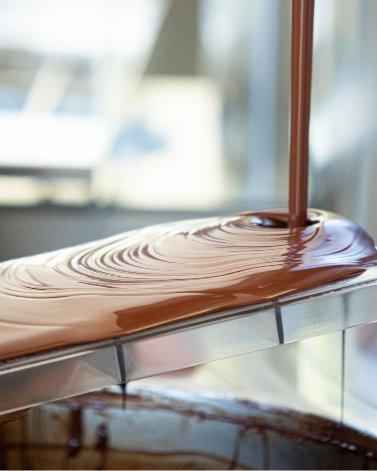 Biglietto di ingresso - Visita Fabbrica + Laboratorio cioccolato