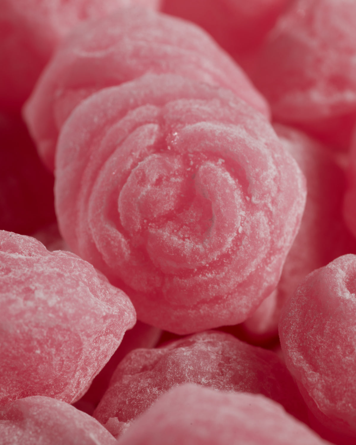 12 Tondini Drops Rosette