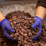 Biglietto di ingresso - Visita Fabbrica + Laboratorio cioccolato