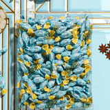 Caramelle Senza Zuccheri all'Anice 500g