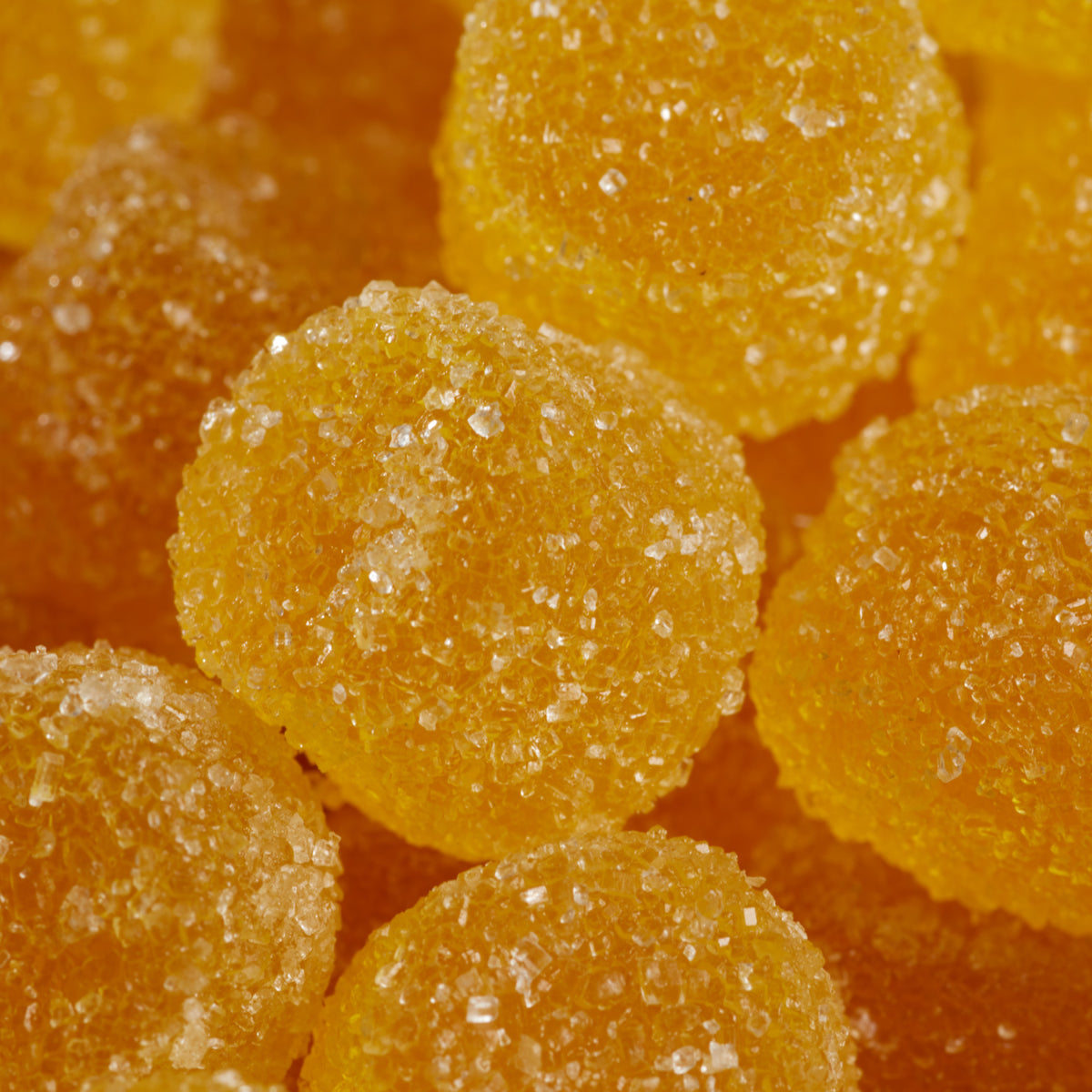 Tondino Gelatine Limoncini