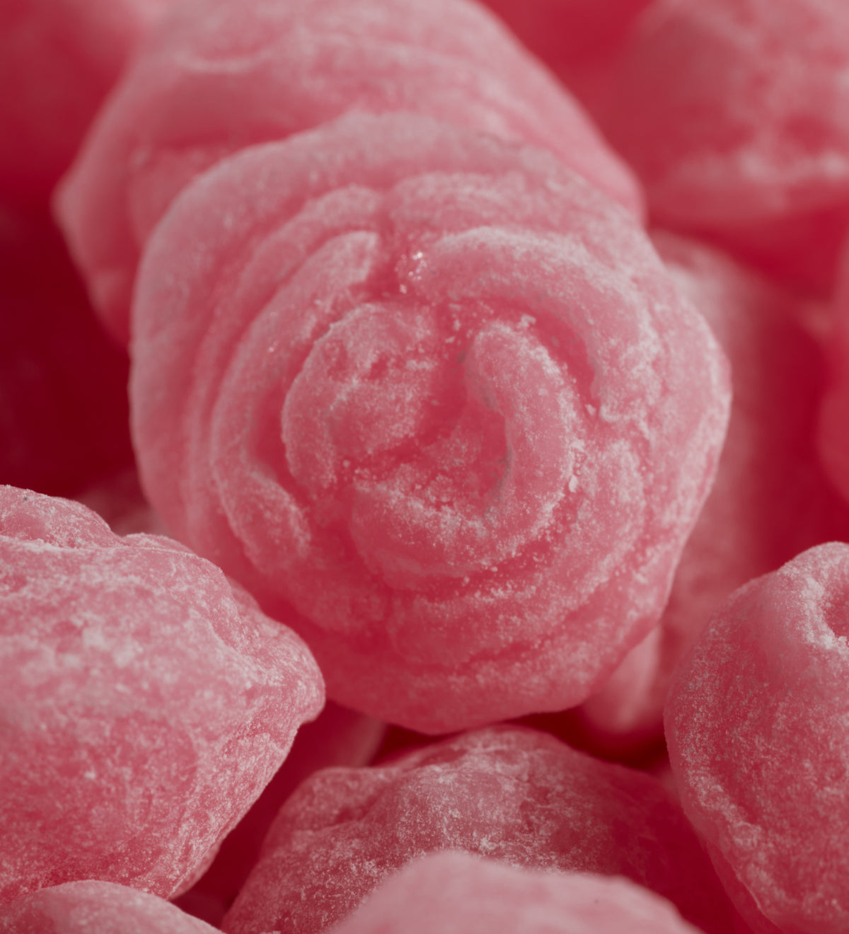Tondino Drops Rosette