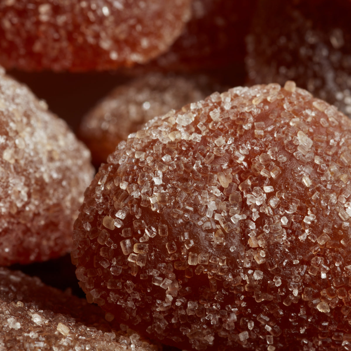 Tondino Gelatine Gourmet Marron Gelée