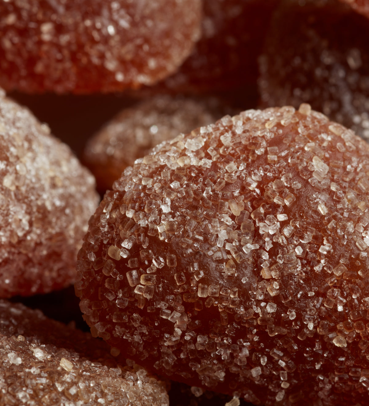 Tondino Gelatine Gourmet Marron Gelée
