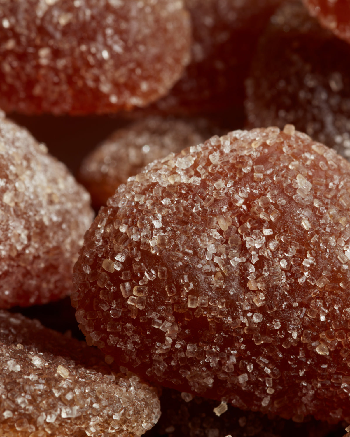Tondino Gelatine Gourmet Marron Gelée